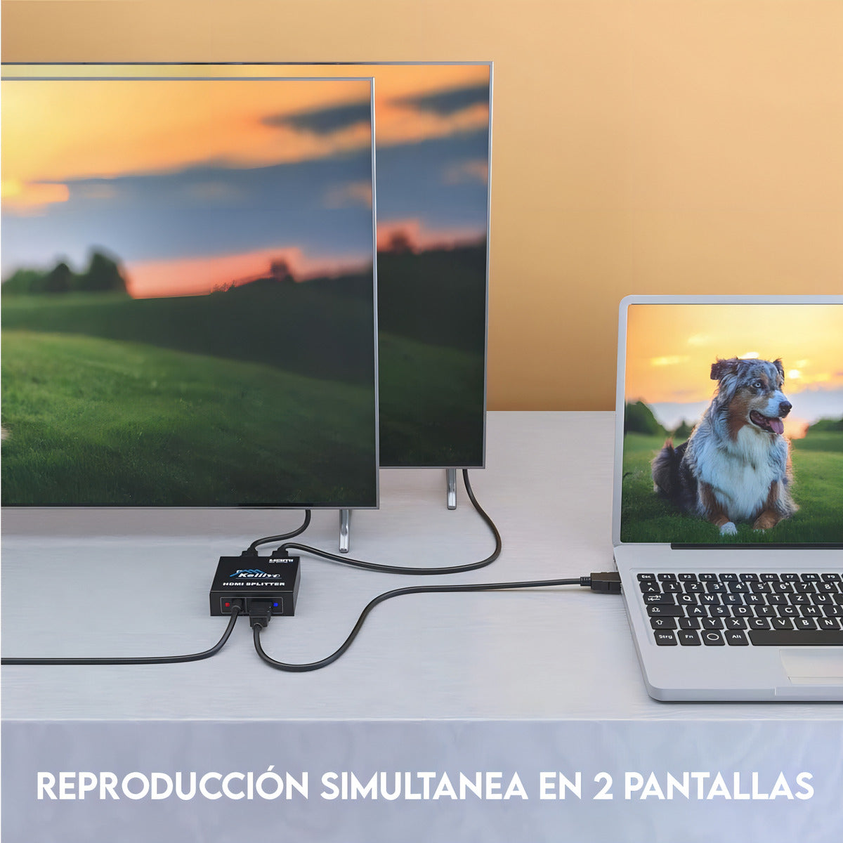 Splitter Hdmi V1.4 1 Input Y 2 Output Con Amplificador